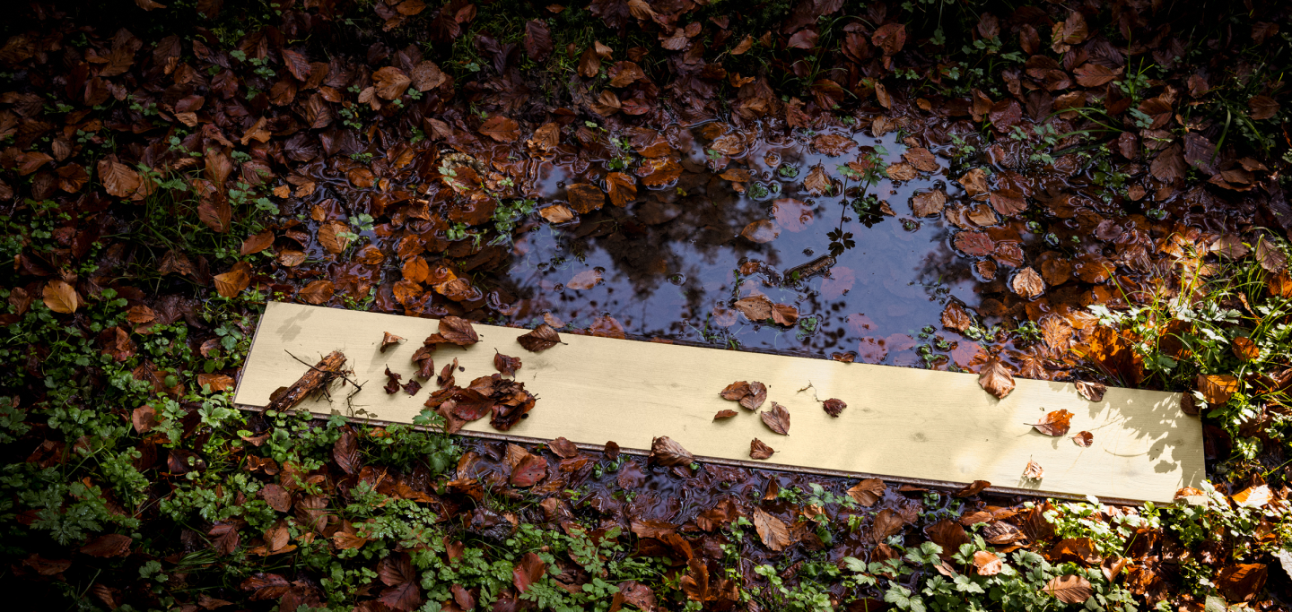 Laminat im Wasser und Blätter - artureon Laminat